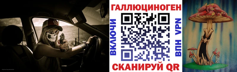 Купить где  Рыльск  Галлюциногенные грибы Psilocybe 